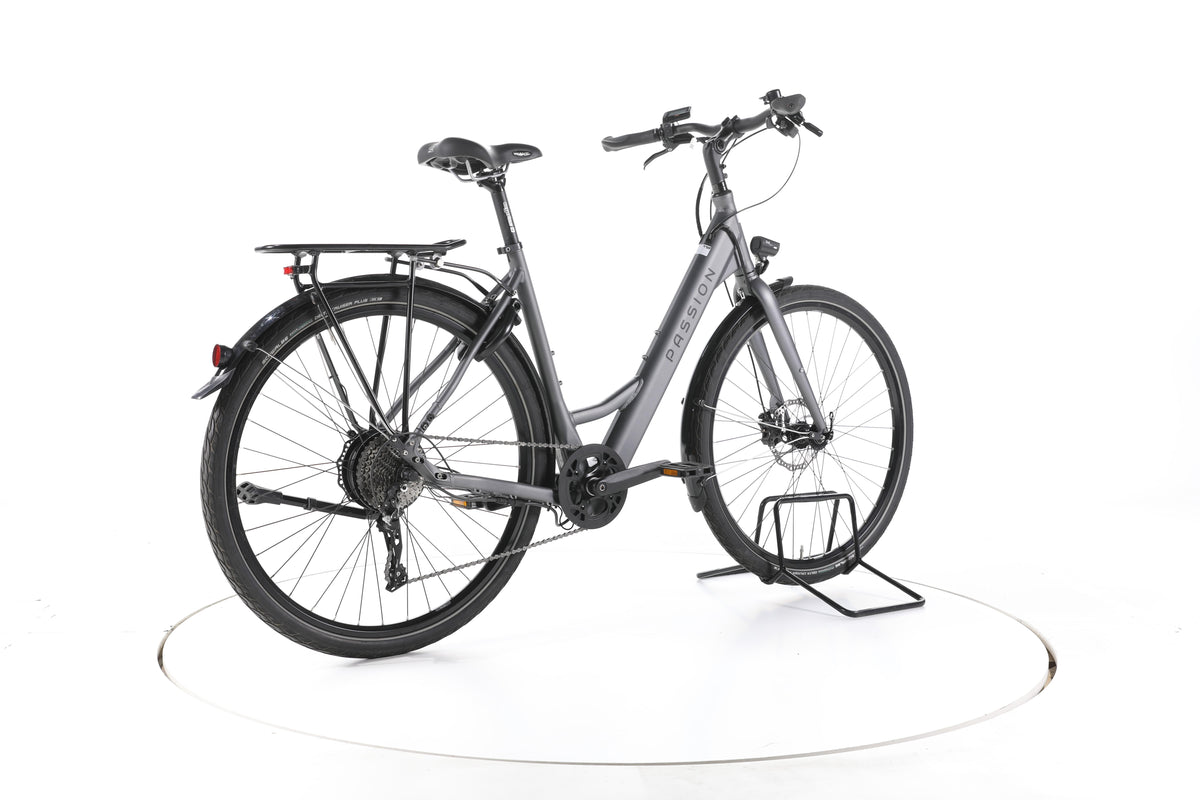 Wittich Passion E-SLi Trekking E-Bike Tiefeinsteiger - Image 12