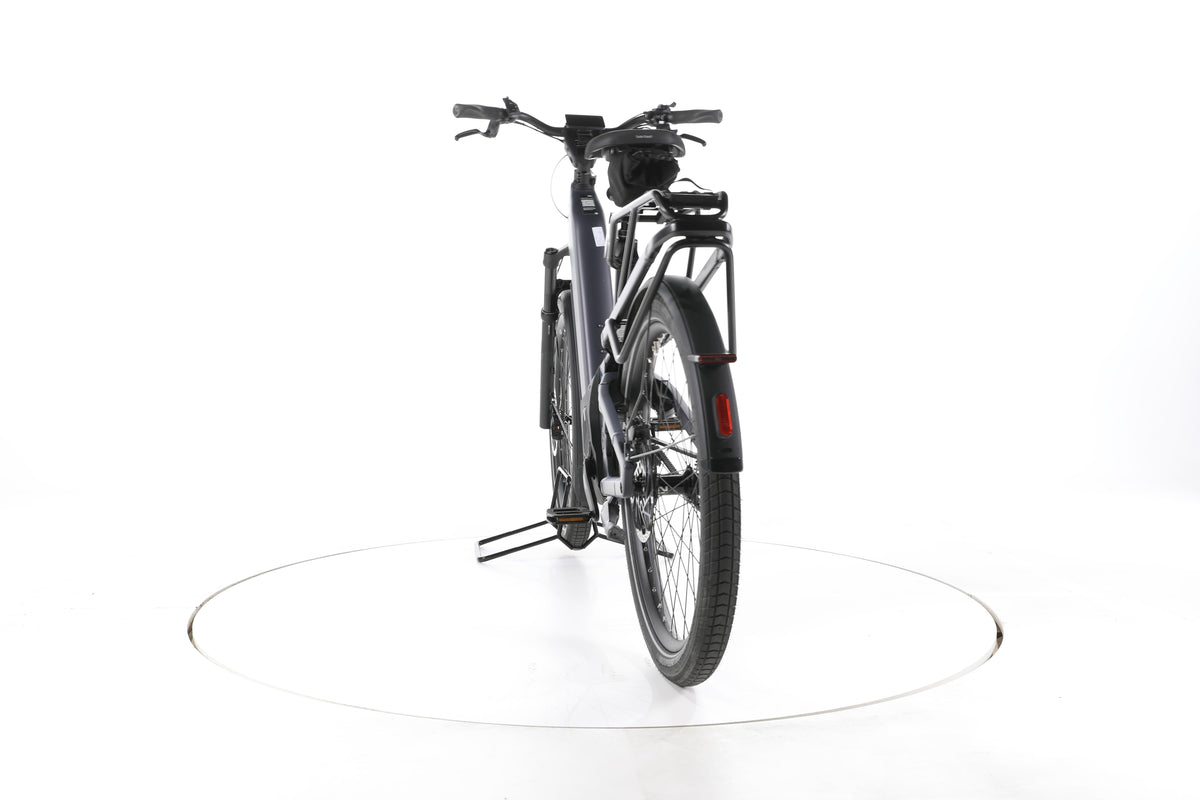 Riese & Müller Homage5 pinion SUV E-Bike Tiefeinsteiger 2024 - Image 10