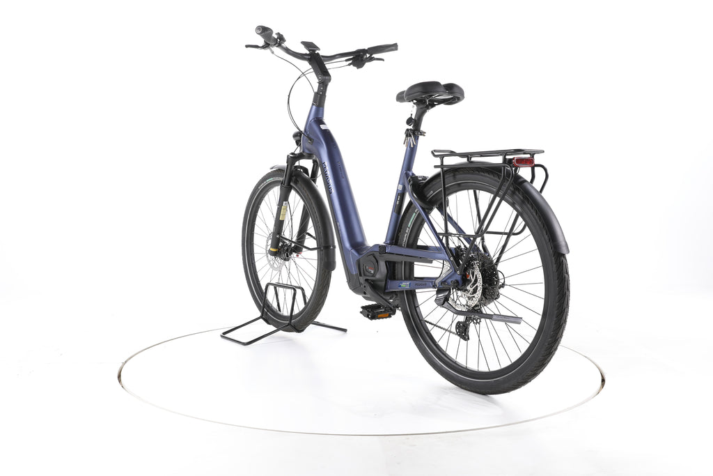 Pegasus STRONG EVO 10 LITE Trekking E-Bike Tiefeinsteiger 2024 - Image 9