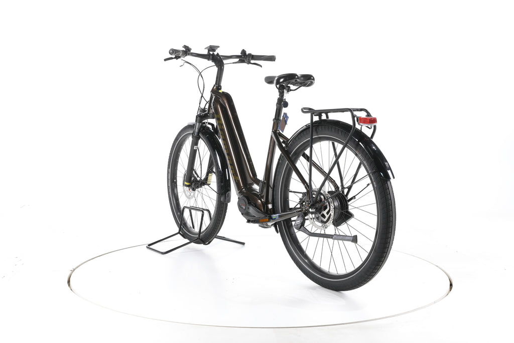 Diamant Opal Esprit City E-Bike Tiefeinsteiger - Image 9
