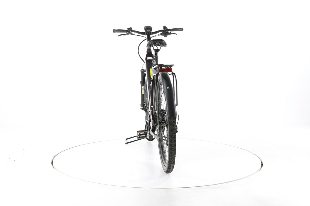 Stevens E-Triton Trekking E-Bike Tiefeinsteiger - Image 10