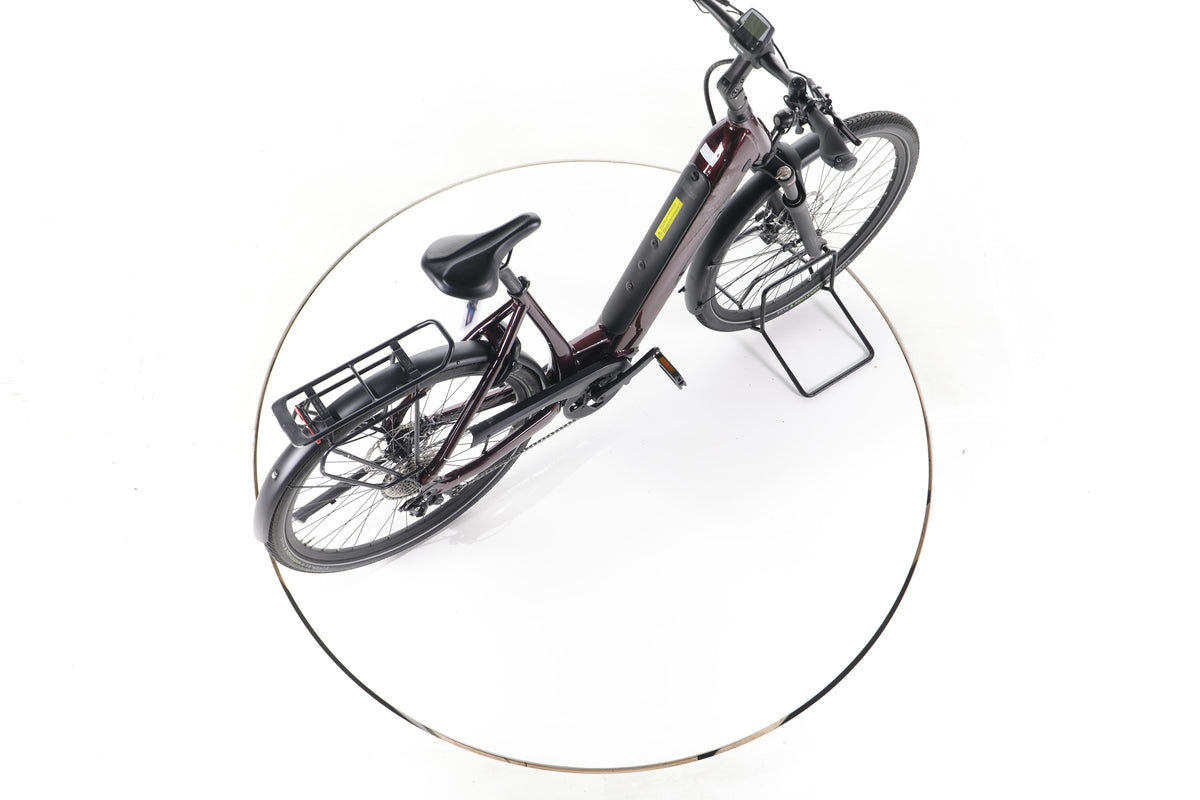 Stevens E-Triton Trekking E-Bike Tiefeinsteiger - Image 24