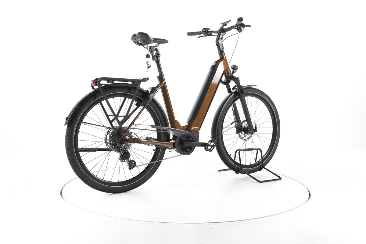 Kalkhoff Endeavour 5.B Advance+ Trekking E-Bike Tiefeinsteiger - Image 12
