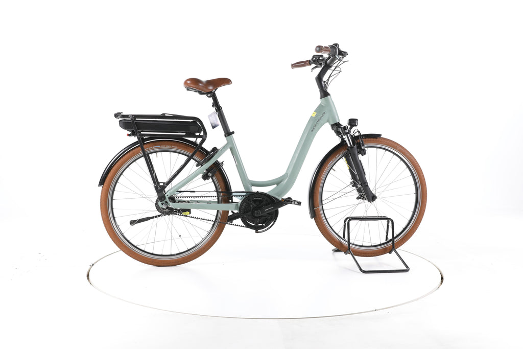 Riese & Müller Swing 4 City E-Bike Tiefeinsteiger 2024 - Image 1