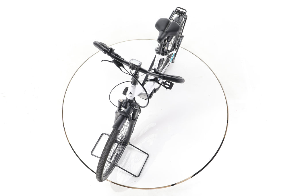 Pegasus Evo Lite 10 Comfort Trekking E-Bike Tiefeinsteiger - Image 17