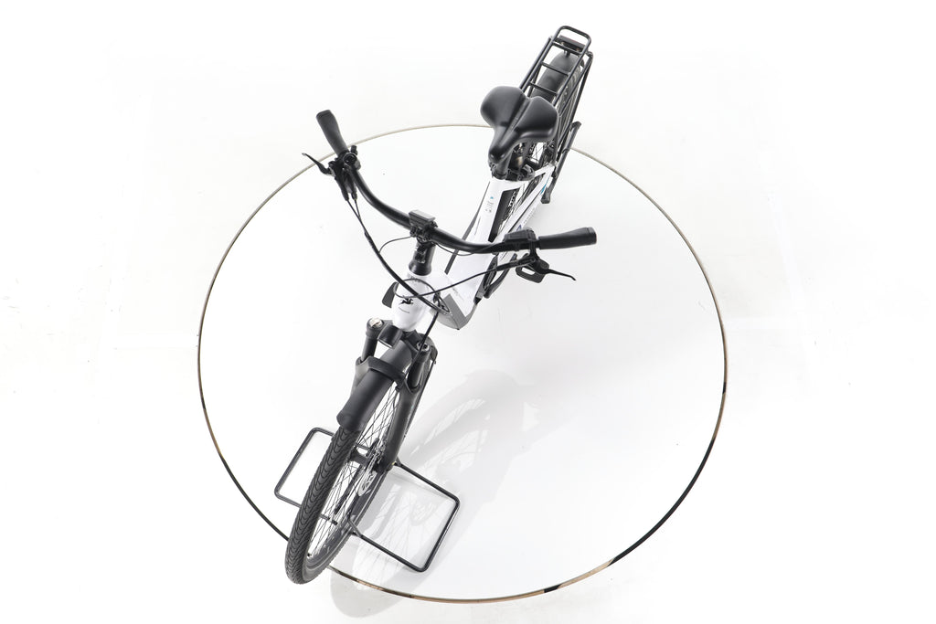 Pegasus Premio Evo 11 Lite Trekking E-Bike Tiefeinsteiger - Image 17
