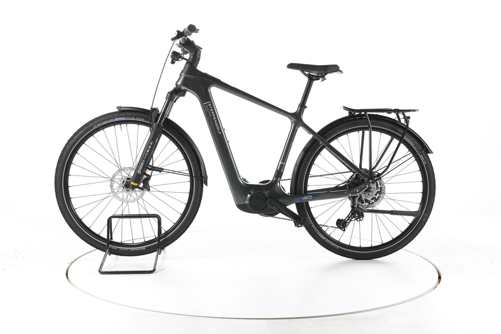 Steppenwolf Transterra Sport 9.1 Trekking E-Bike Carbon 2025 - Image 7