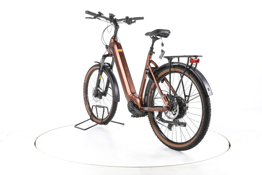 Conway Cairon C 2.0 Trekking E-Bike Tiefeinsteiger 2025 - Image 9