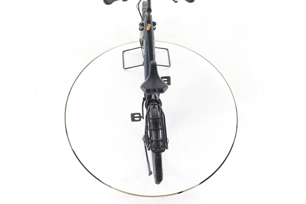 Pegasus Premio Evo 10 Lite Trekking E-Bike - Image 22