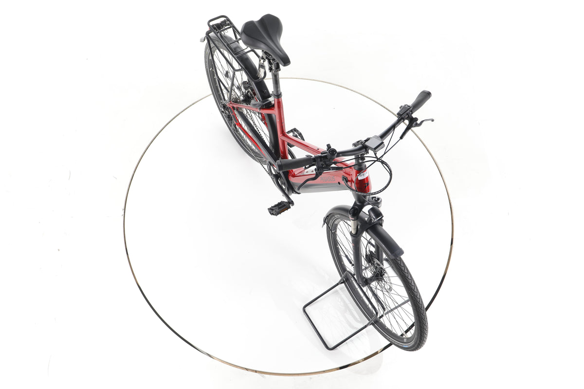 Pegasus Premio Evo 10 Lite Trekking E-Bike - Image 15