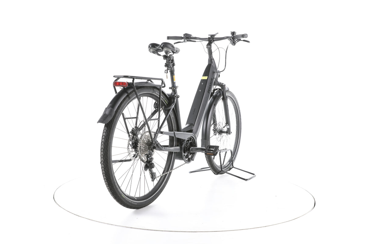 Pegasus Premio Evo 10 Trekking E-Bike Tiefeinsteiger - Image 11