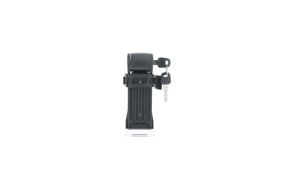 rb-10004385-img-001