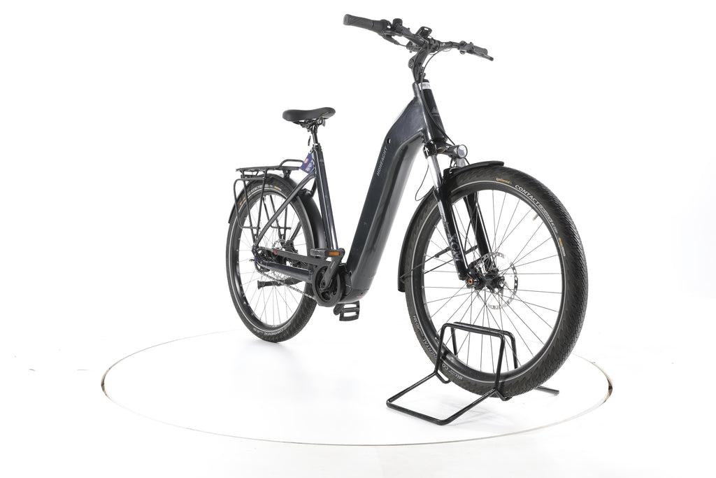 HoheAcht Grandamo Vilago City E-Bike Tiefeinsteiger - Image 3