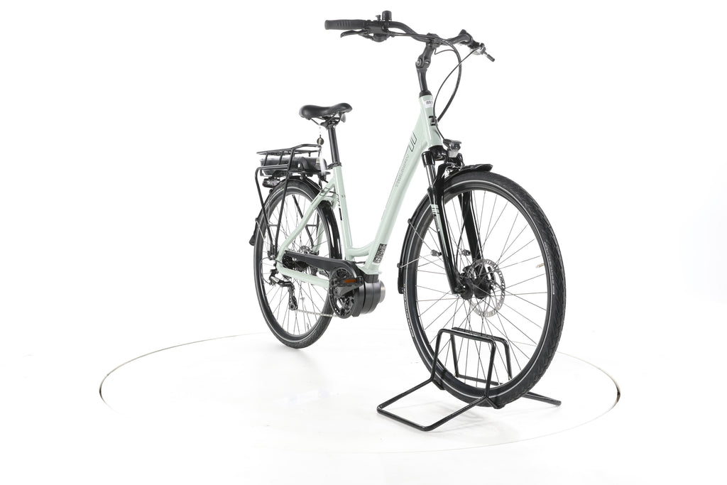 Triumph e-bird Trekking E-Bike Tiefeinsteiger - Image 3