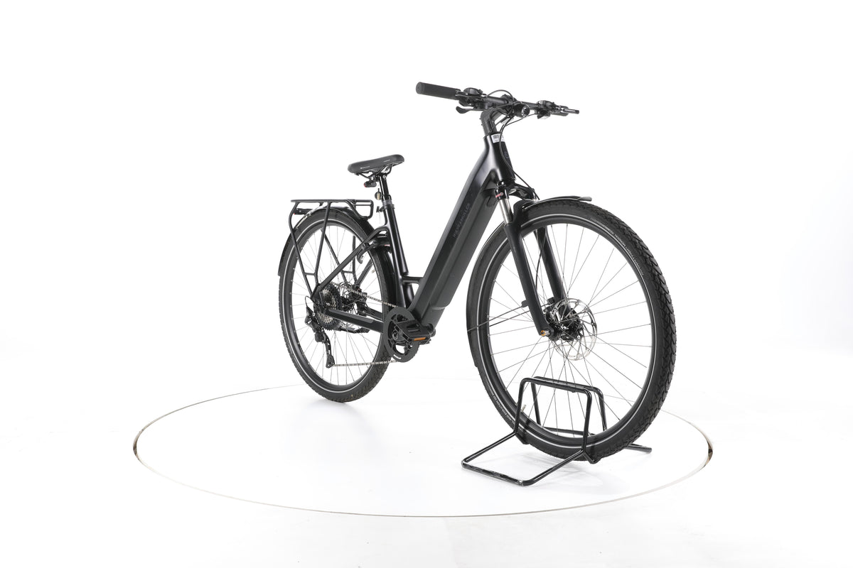 Riese & Müller UBN Six Touring Trekking E-Bike Tiefeinsteiger - Image 3