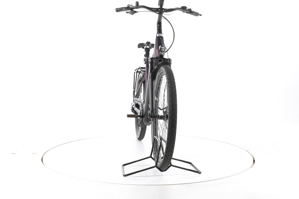 Pegasus Premio EVO Lite Trekking E-Bike Tiefeinsteiger - Image 4