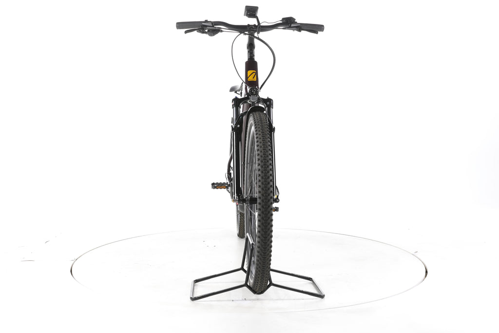 ADVANCED Trekking Plus Trekking E-Bike Tiefeinsteiger - Image 4