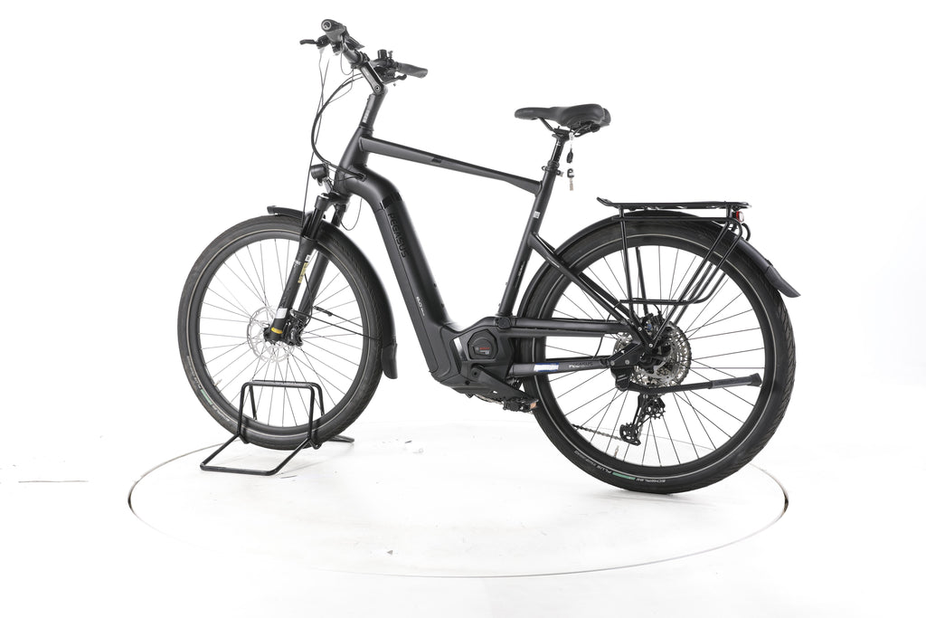 Pegasus Strong EVO 12 Lite Trekking E-Bike - Image 8