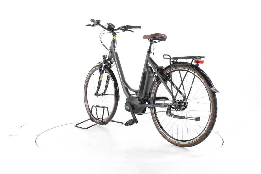 Raleigh Cardiff LB Plus City E-Bike Tiefeinsteiger - Image 9