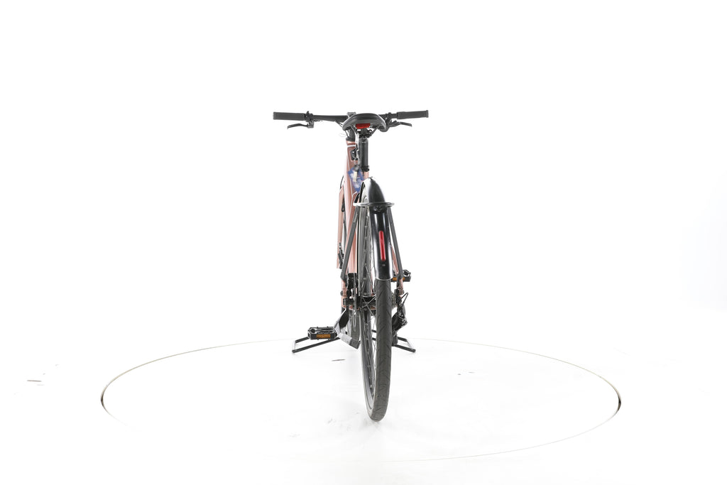 Riese & Müller UBN Seven touring Trekking E-Bike - Image 10