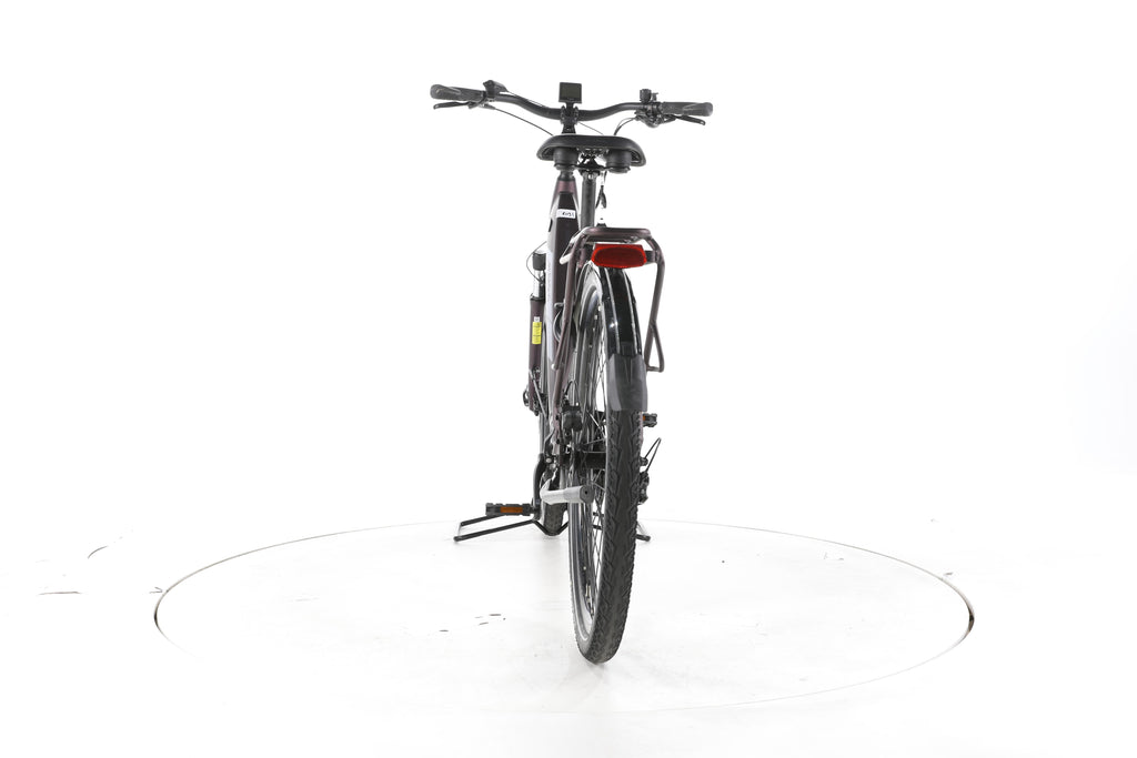 Pegasus Solero EVO 9 Trekking E-Bike Tiefeinsteiger - Image 10