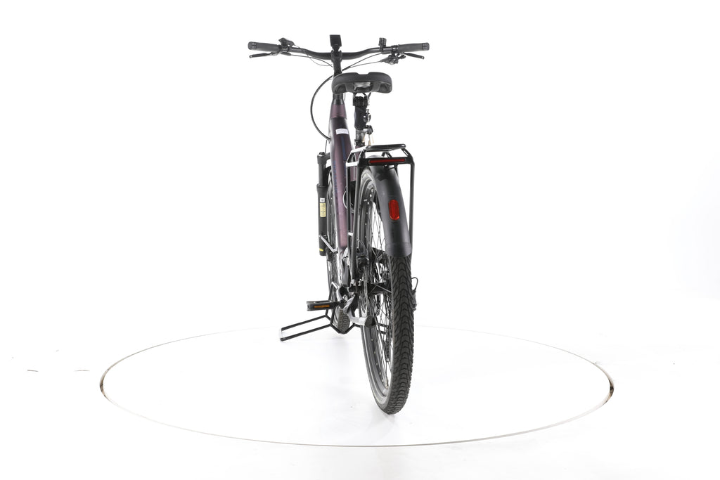 Pegasus Premio EVO Lite Trekking E-Bike Tiefeinsteiger - Image 10