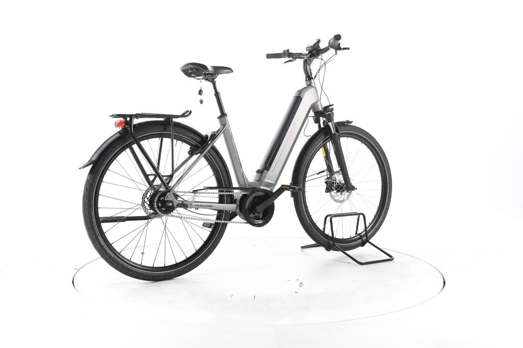 Raleigh Bristol XXL City E-Bike Tiefeinsteiger - Image 12