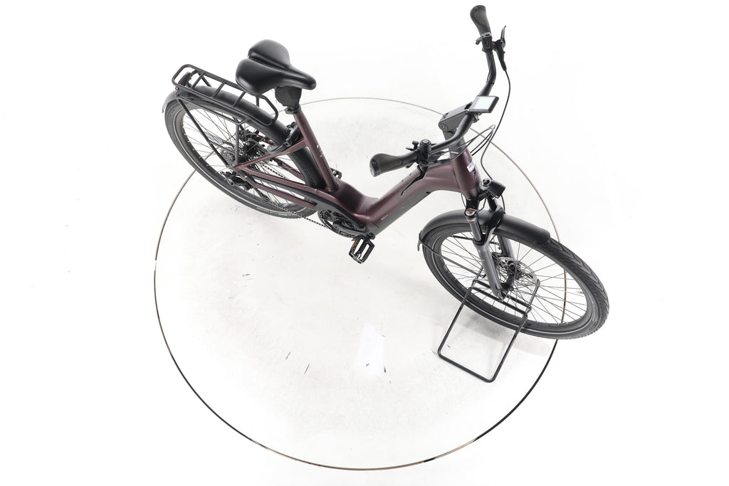Pegasus Strong Evo 10 Lite Trekking E-Bike Tiefeinsteiger 2024 - Image 14