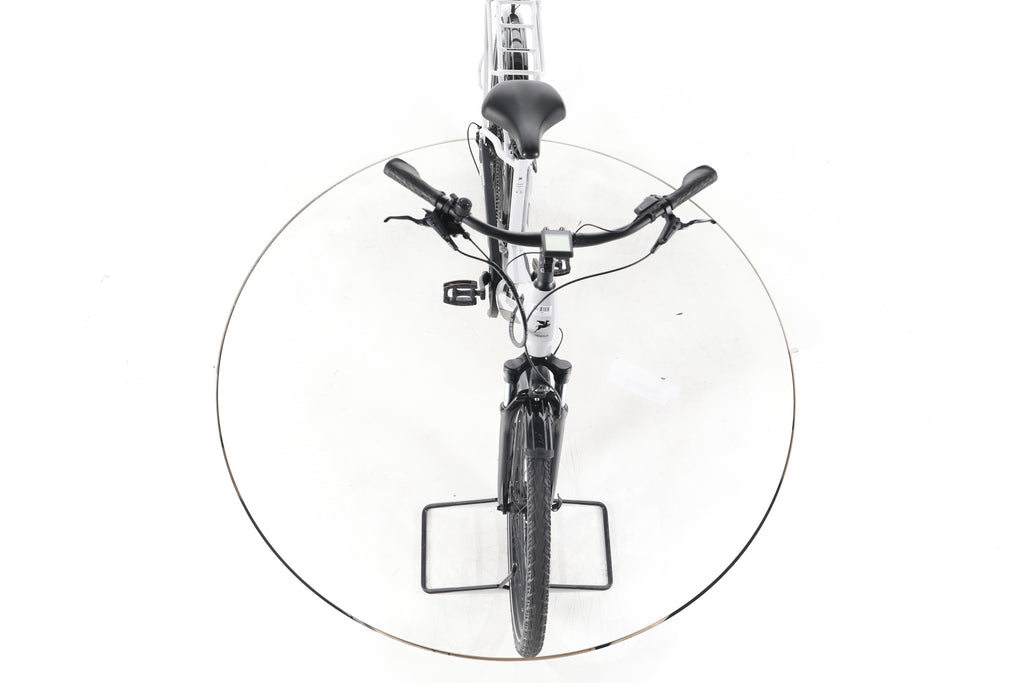 Pegasus Solero EVO 9 Trekking E-Bike Tiefeinsteiger - Image 16