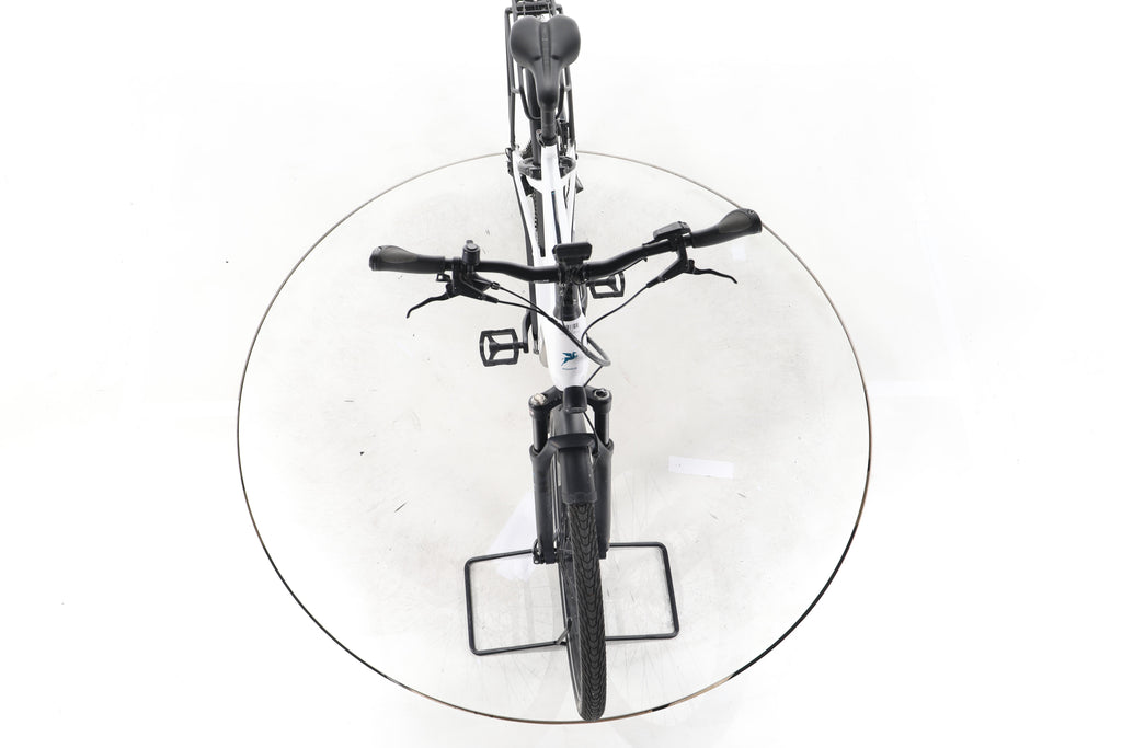Pegasus Premio Evo 11 "40 Years" Trekking E-Bike Tiefeinsteiger - Image 16