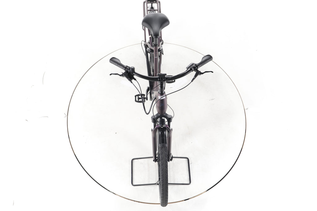 Pegasus Solero EVO 9 Trekking E-Bike Tiefeinsteiger - Image 16