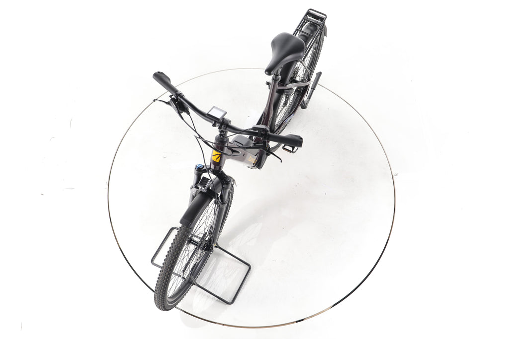 ADVANCED Trekking Plus Trekking E-Bike Tiefeinsteiger - Image 17