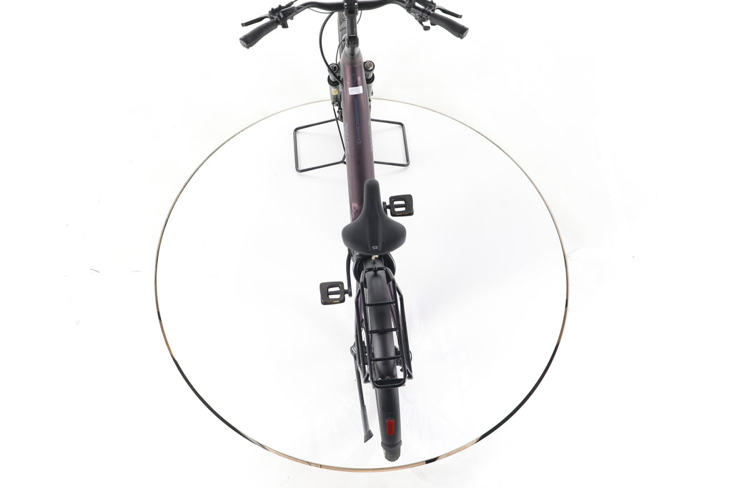 Pegasus Premio EVO Lite Trekking E-Bike Tiefeinsteiger - Image 22
