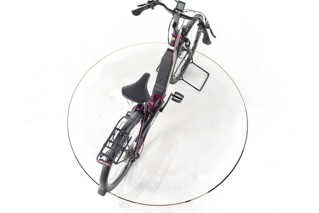 Victoria Tresalo 6 Trekking E-Bike Tiefeinsteiger - Image 23