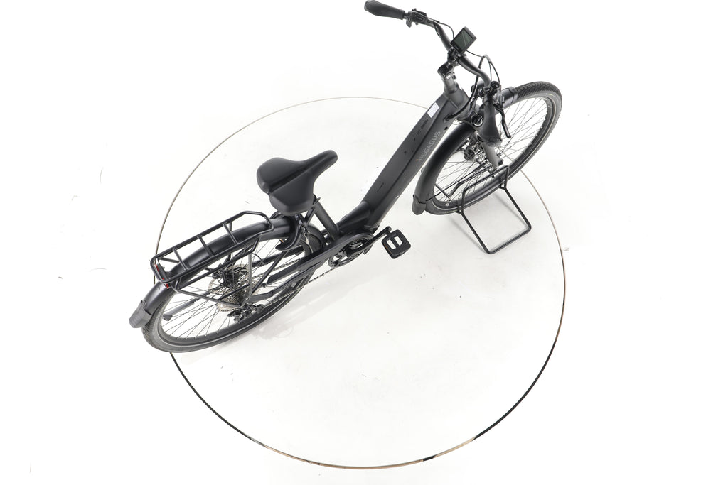 Pegasus Premio Evo 10 Lite Trekking E-Bike Tiefeinsteiger 2024 - Image 24