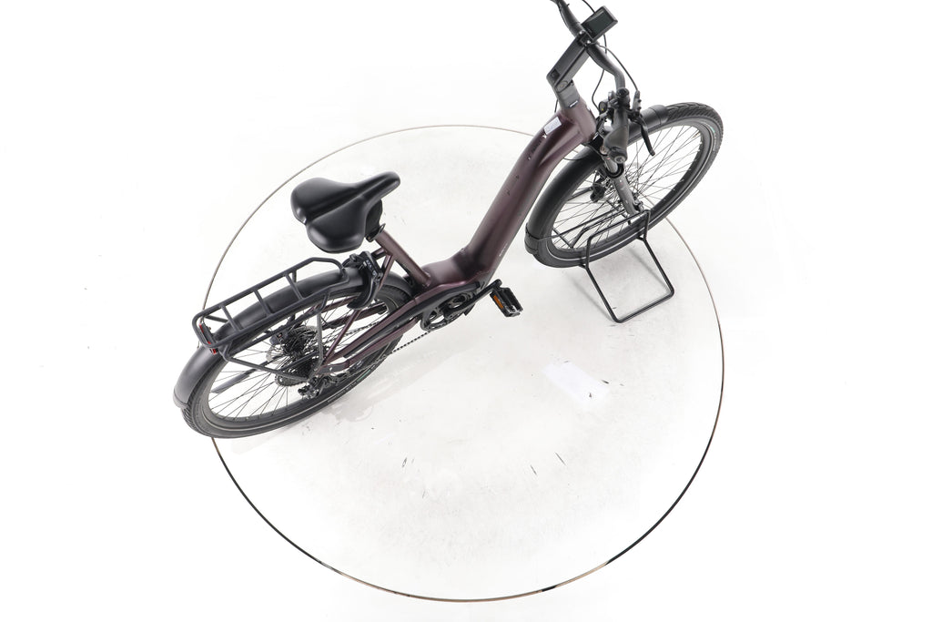 Pegasus Strong Evo 10 Lite Trekking E-Bike Tiefeinsteiger 2024 - Image 24